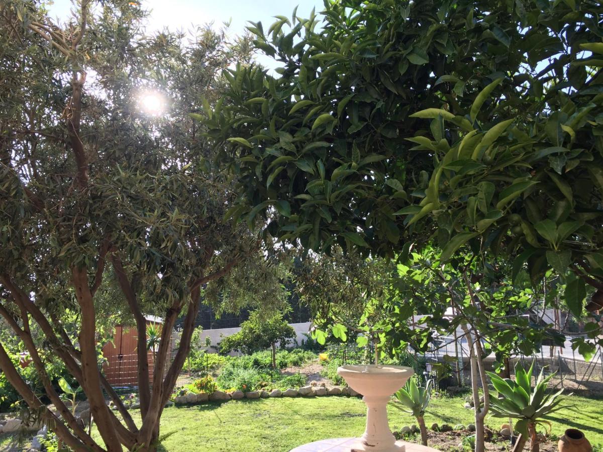 B&B Villa Magna Grecia Lazzaro Eksteriør billede